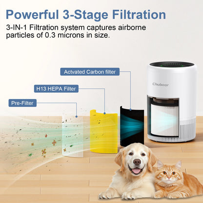 Chuboor Smart Air Purifier